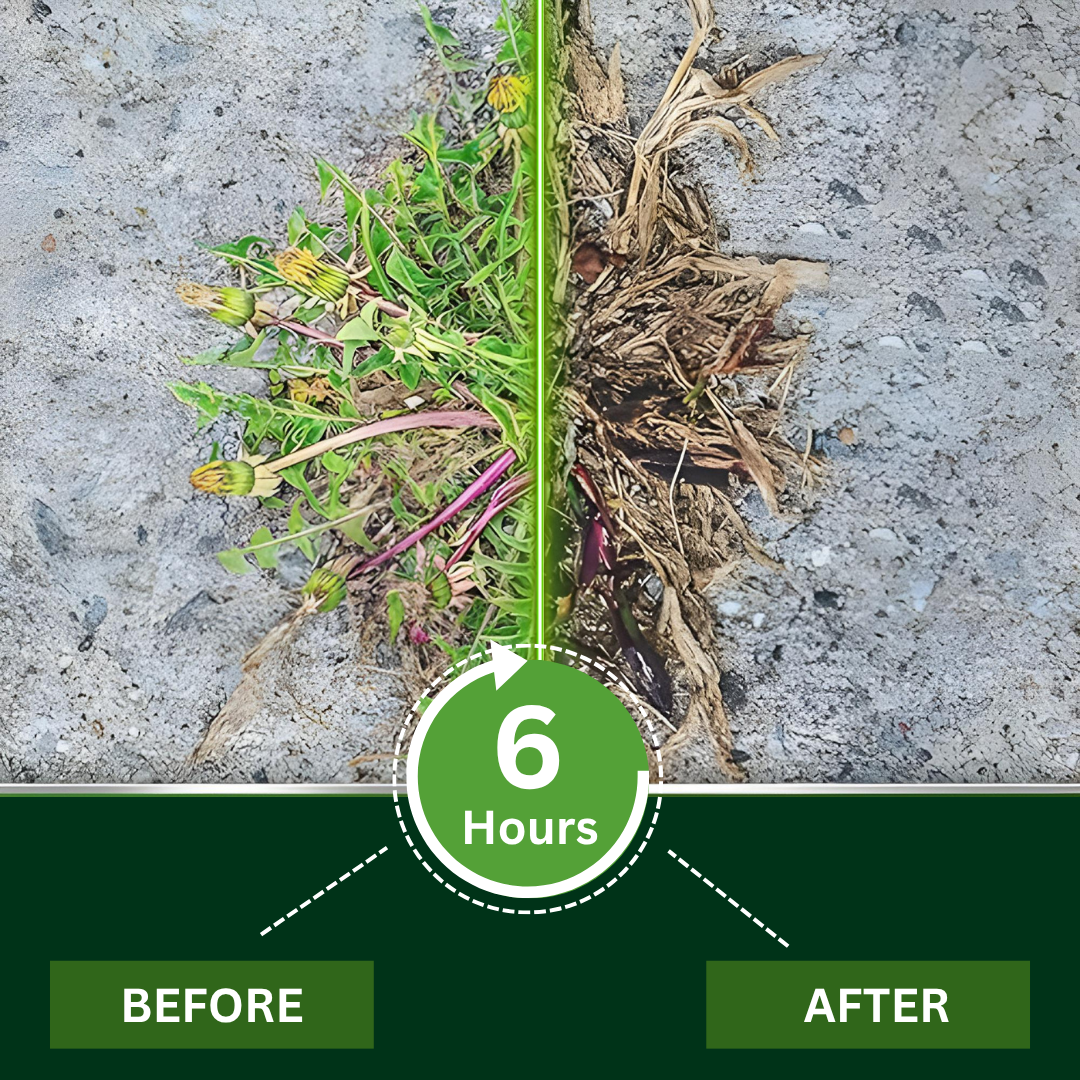 🏆Official Store | Limited Edition |Skavix® 2 in 1 Max Power Herbicide