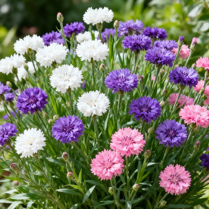 🌱Holiday Decor Flowers: Create A Never-Wither Garden!