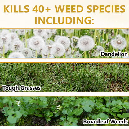 🏆 Official Store |Skavix® Pro Strength 2-in-1 Herbicide: Fast Acting Results on Glyphosate-Resistant Weeds