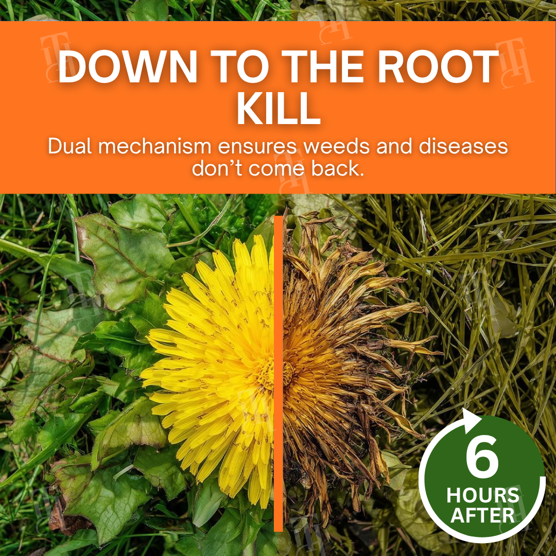 🛡️Zero Glyphosate |Skavix® 2-in-1 Max Power Herbicide -🌿6-Hour Visible Kill☠️