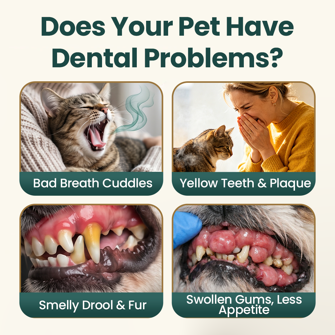 Cougex® TrustedPet Oral Care Spray - Easy Daily Dental Support