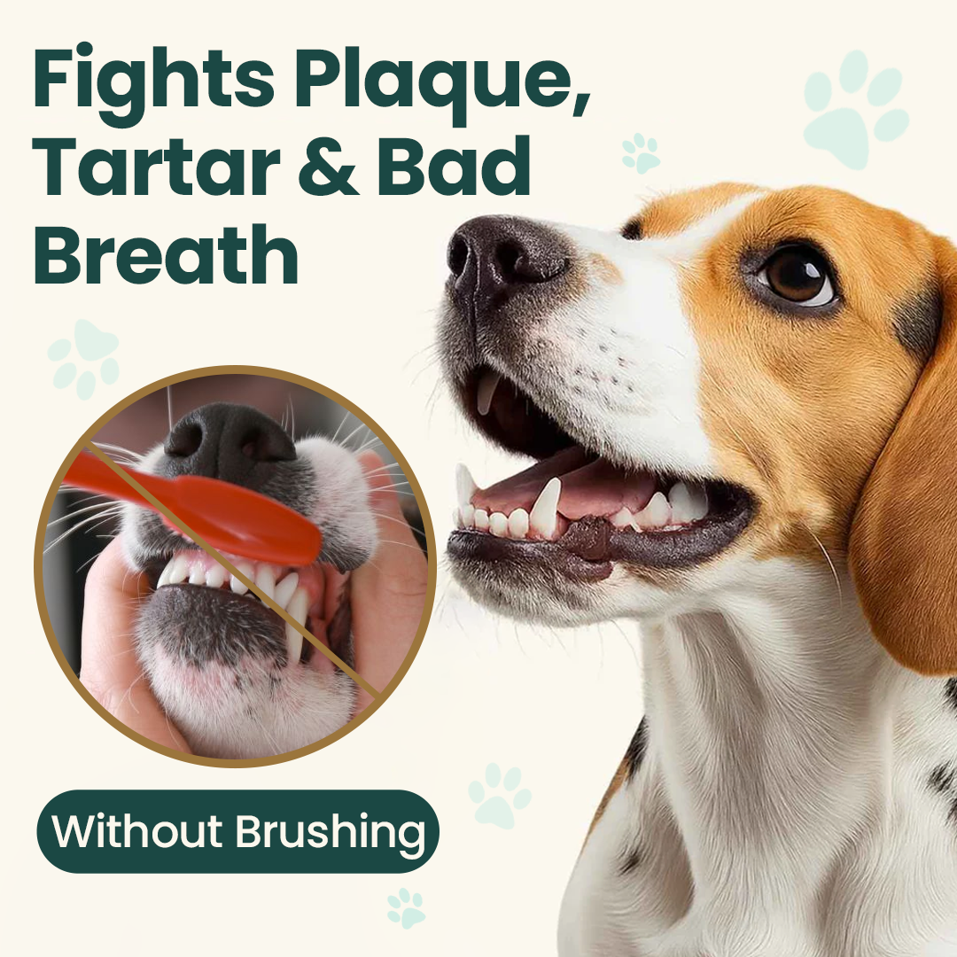 Cougex® TrustedPet Oral Care Spray - Easy Daily Dental Support