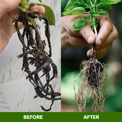 🌱 10 Days Slow Release in One Simple Spike 🏆 Official Store | Healthier Plants Made Easy