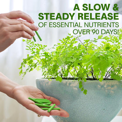 🌱 10 Days Slow Release in One Simple Spike 🏆 Official Store | Healthier Plants Made Easy