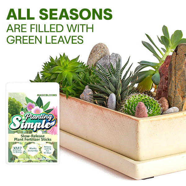 🌱 10 Days Slow Release in One Simple Spike 🏆 Official Store | Healthier Plants Made Easy