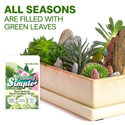 🌱 10 Days Slow Release in One Simple Spike 🏆 Official Store | Healthier Plants Made Easy
