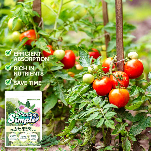 🌱 10 Days Slow Release in One Simple Spike 🏆 Official Store | Healthier Plants Made Easy