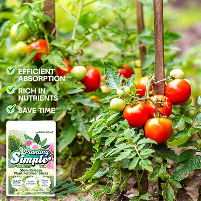 🌱 10 Days Slow Release in One Simple Spike 🏆 Official Store | Healthier Plants Made Easy